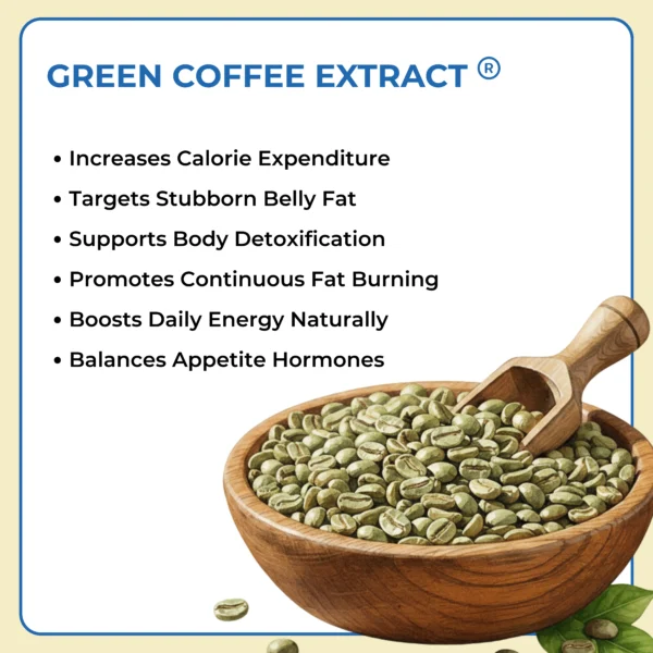 Green Coffee Extract