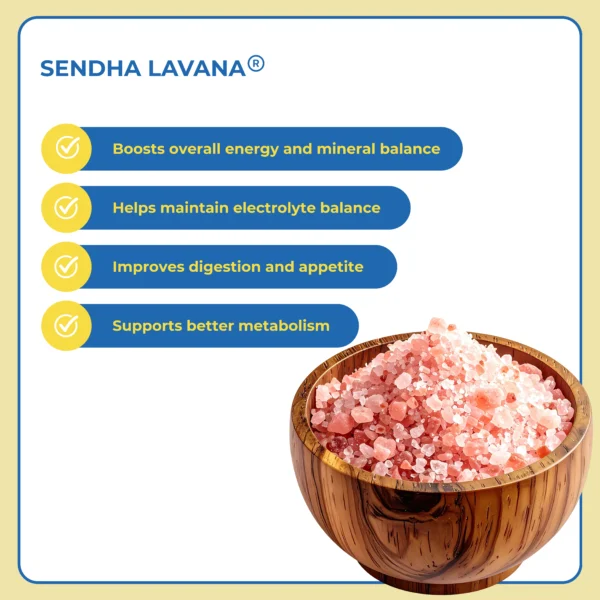 Sendha Lavana BroBoost